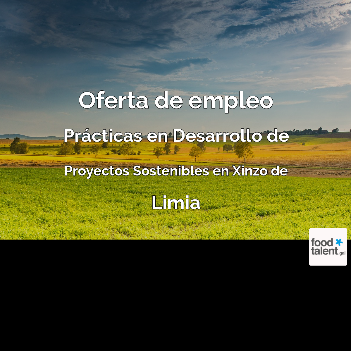 Foto empresa